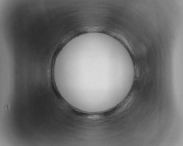X0000102540357200808081054