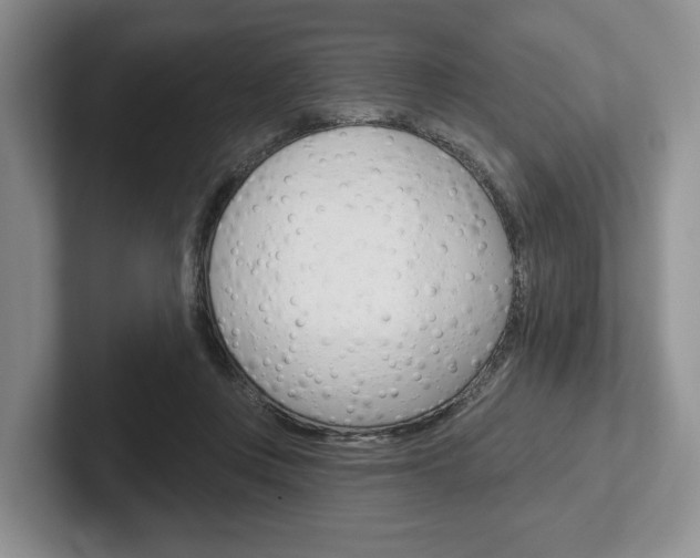 X0000102540359200808081054