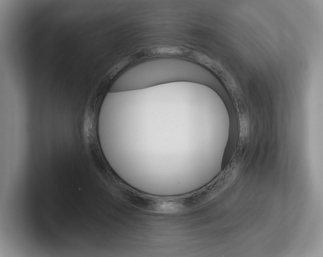 X0000102540360200808081055