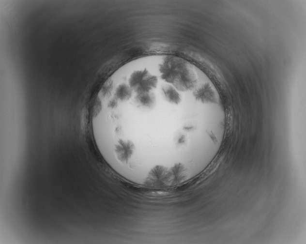 X0000102540361200808081055