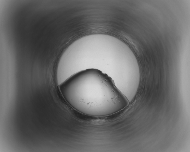 X0000102540362200808081055