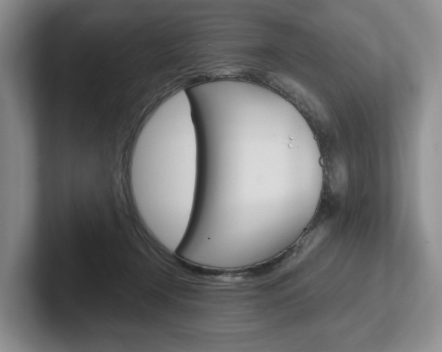 X0000102540366200808081055