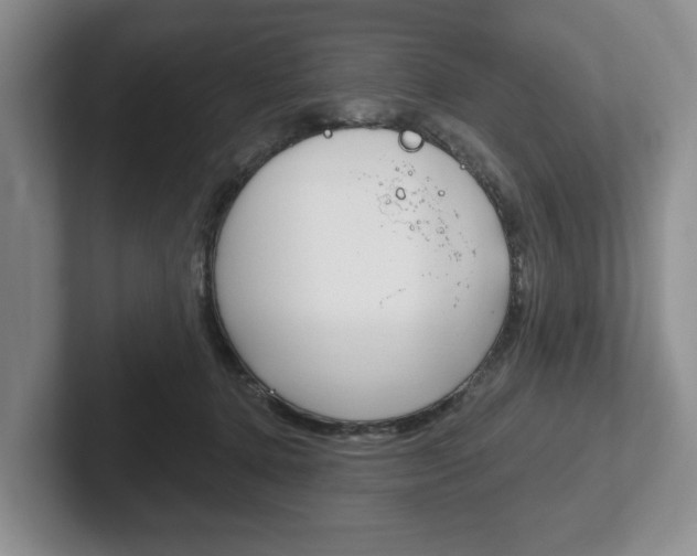 X0000102540368200808081055
