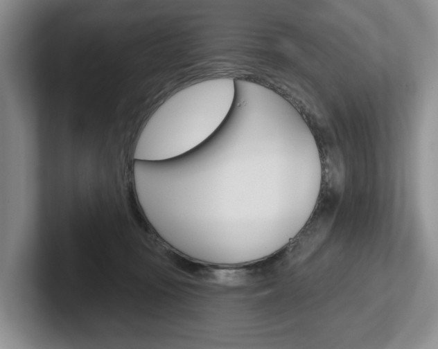 X0000102540371200808081055