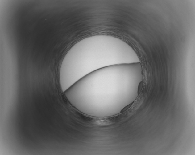 X0000102540372200808081055