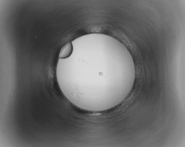 X0000102540374200808081055