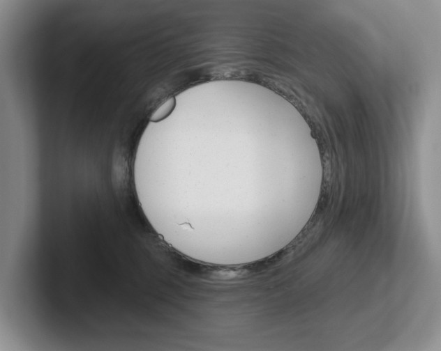 X0000102540375200808081055