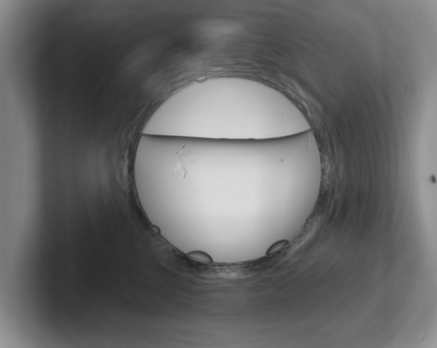 X0000102540377200808081055