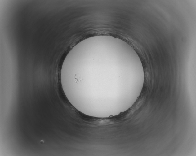 X0000102540379200808081055