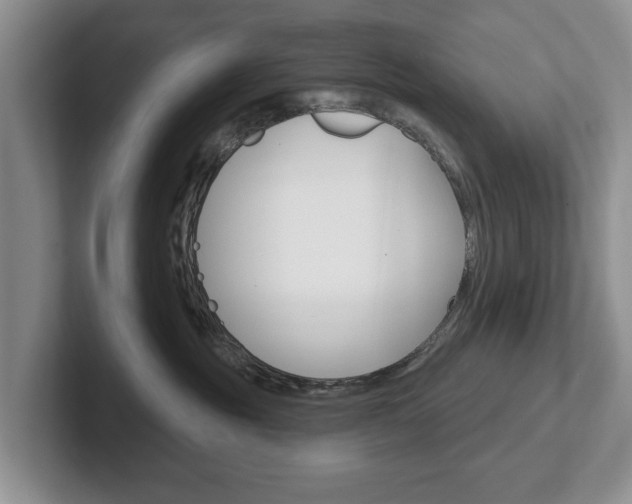 X0000102540381200808081055