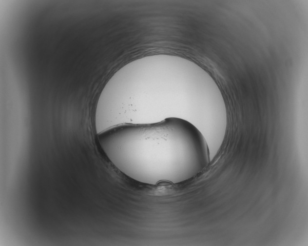 X0000102540382200808081055
