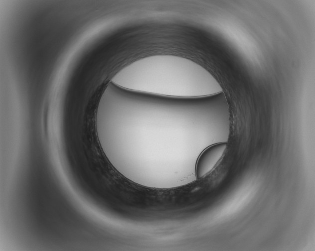 X0000102540383200808081055