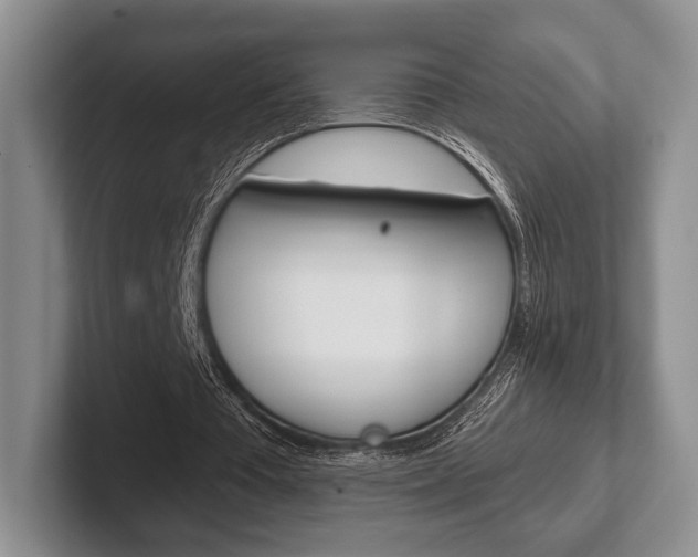 X0000102540385200808081054