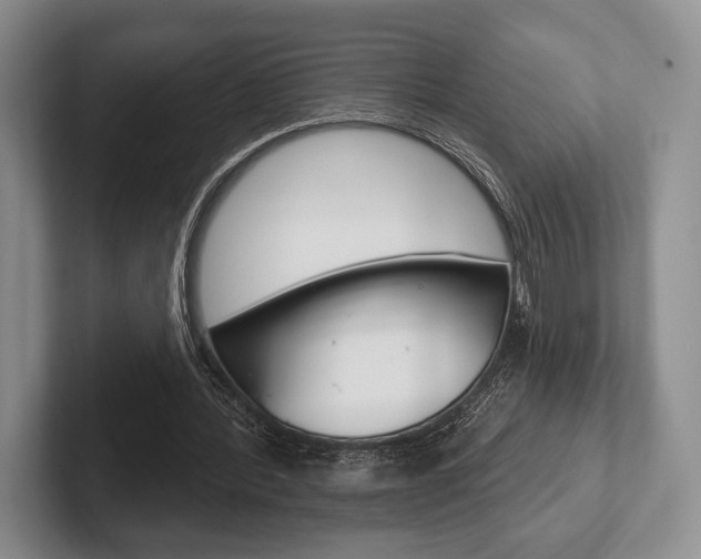 X0000102540388200808081054