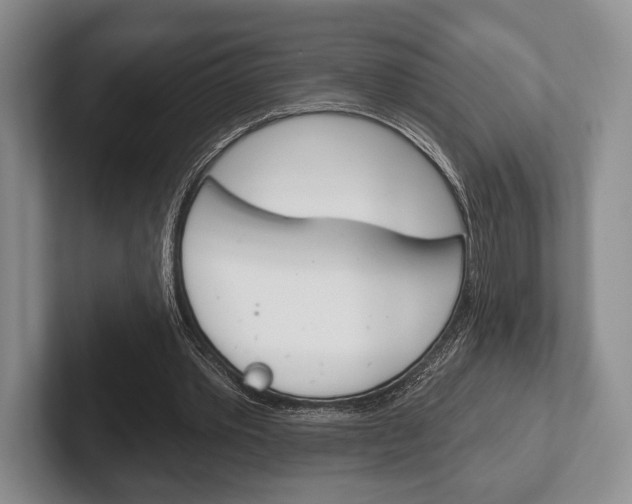 X0000102540389200808081054