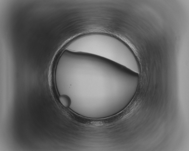 X0000102540391200808081054