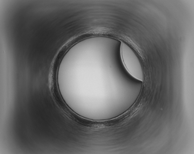 X0000102540392200808081054