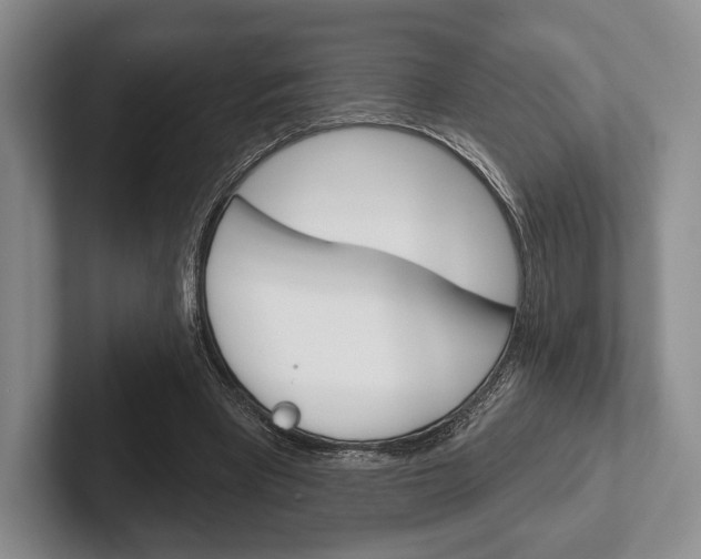 X0000102540393200808081054