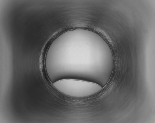 X0000102540395200808081054