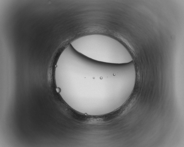 X0000102540403200808081054
