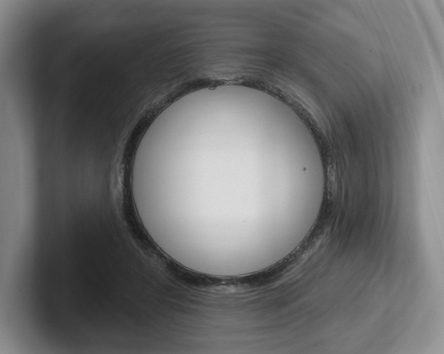 X0000102540404200808081054