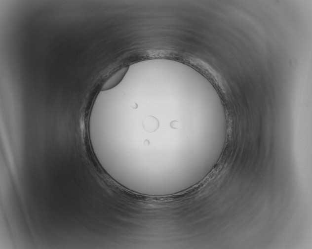X0000102540405200808081054