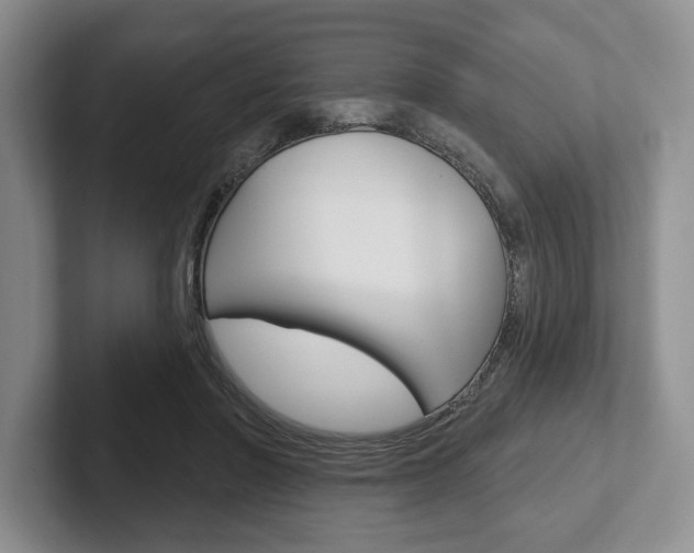X0000102540406200808081054