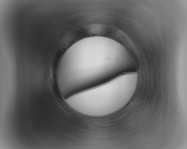 X0000102540408200808081054