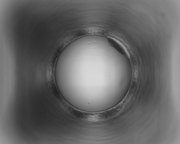 X0000102540411200808081054