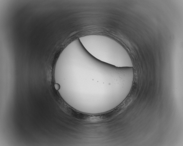 X0000102540413200808081054