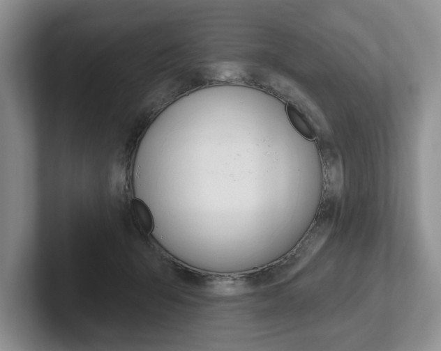 X0000102540415200808081054