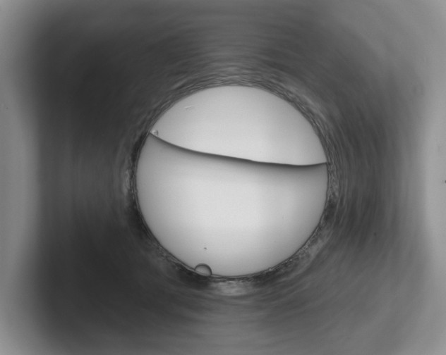 X0000102540417200808081054