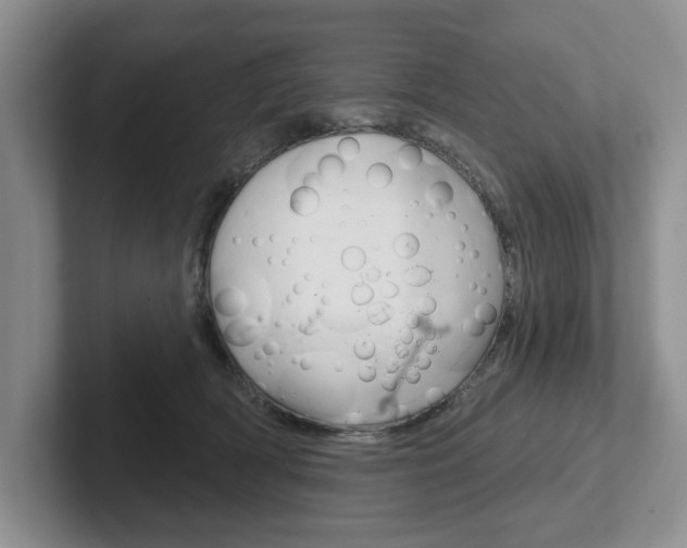 X0000102540418200808081054