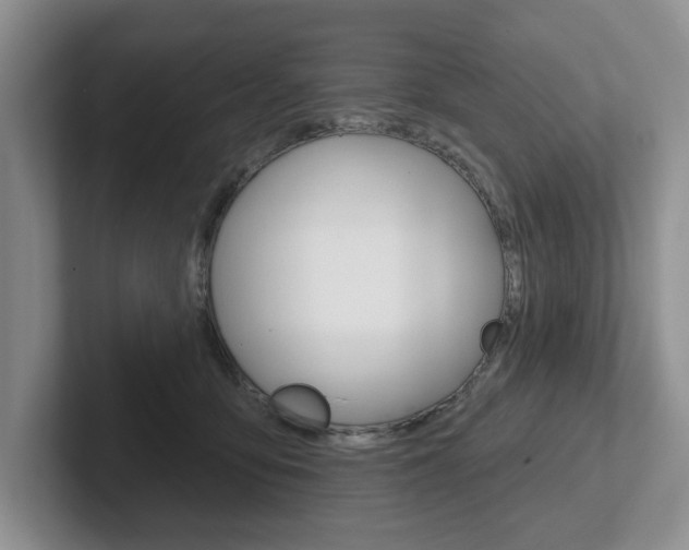 X0000102540419200808081054