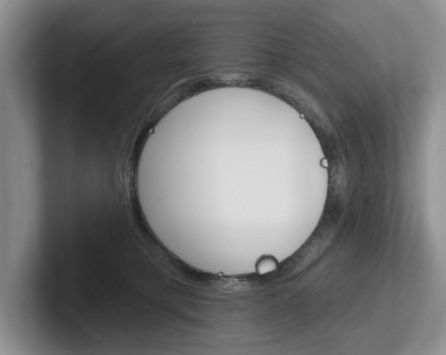 X0000102540421200808081054