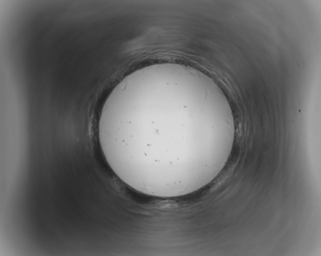 X0000102540424200808081054