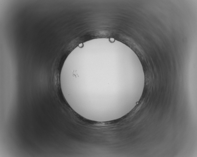 X0000102540425200808081054