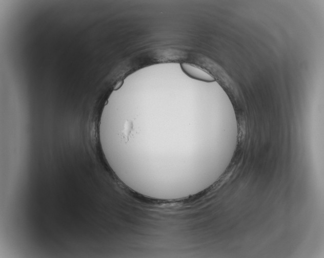 X0000102540426200808081053