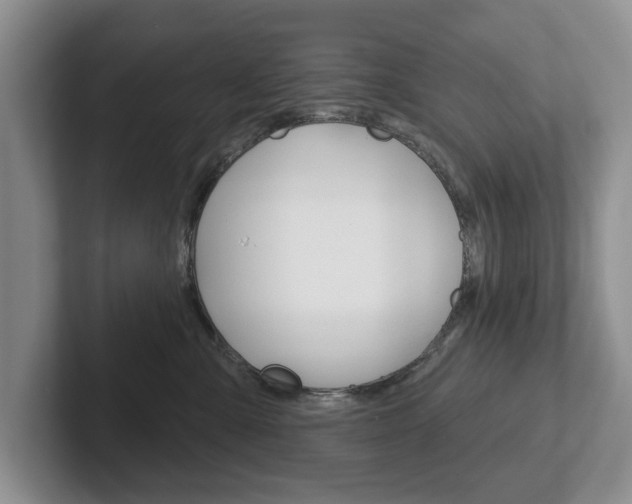 X0000102540427200808081053