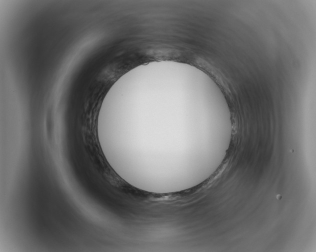 X0000102540430200808081053