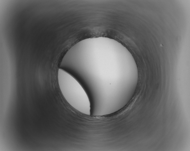 X0000102540432200808081053
