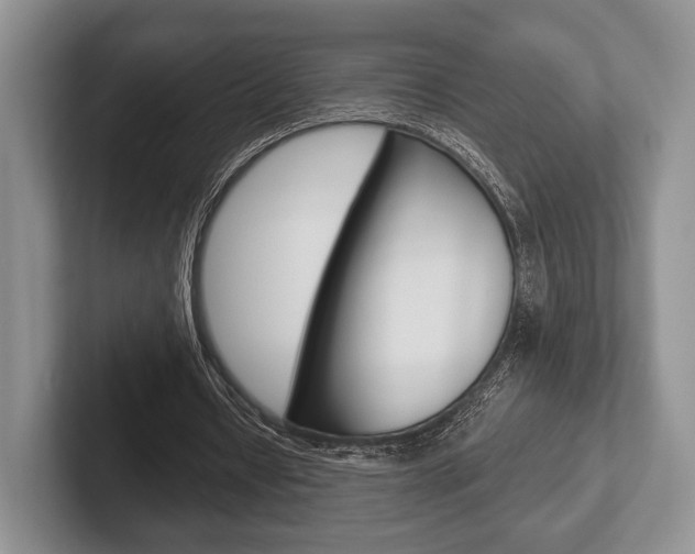 X0000102540434200808081053