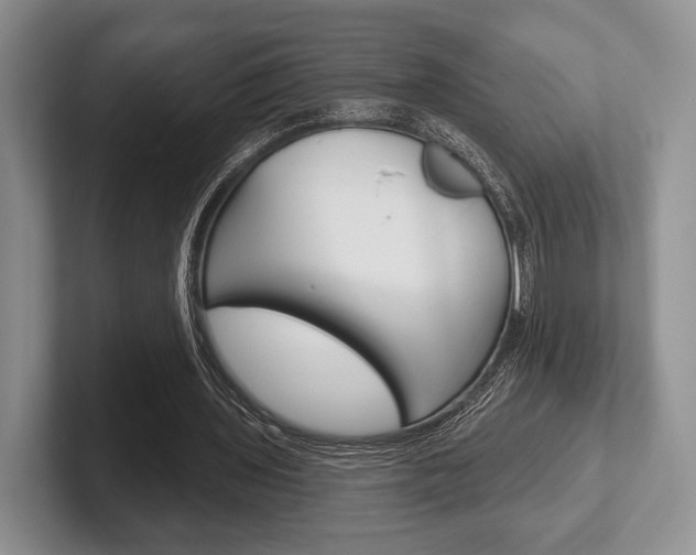 X0000102540435200808081053