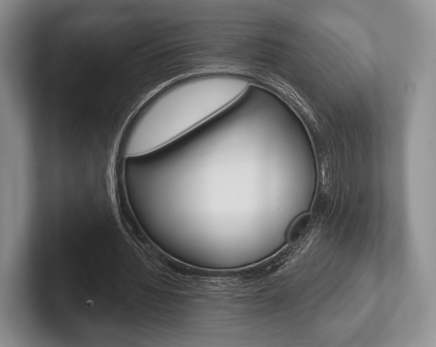 X0000102540436200808081053