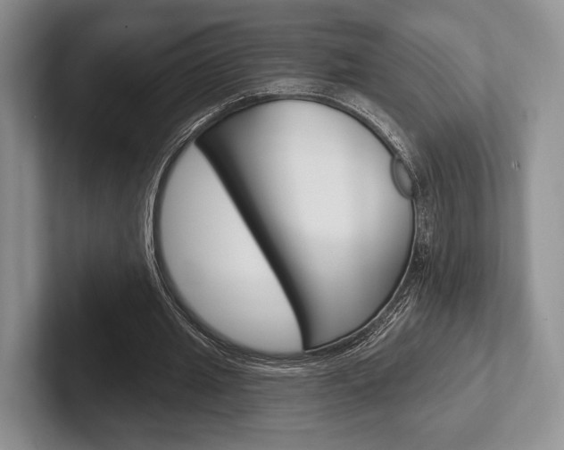 X0000102540437200808081053
