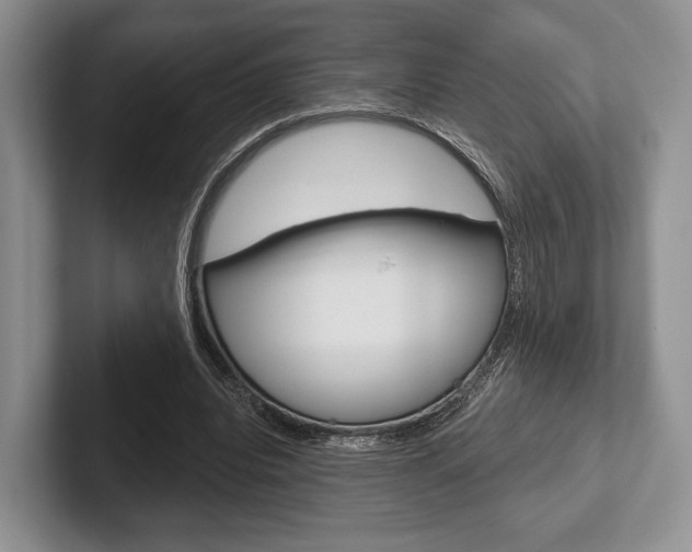 X0000102540440200808081053