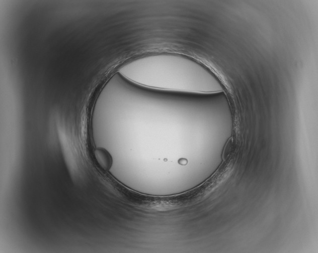 X0000102540445200808081053