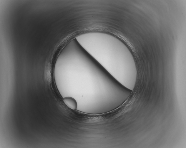 X0000102540446200808081053