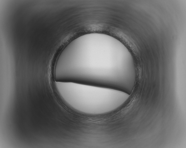 X0000102540447200808081053