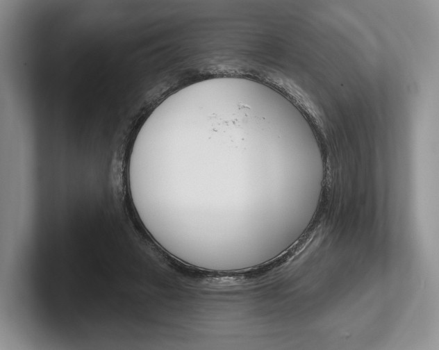 X0000102540449200808081053